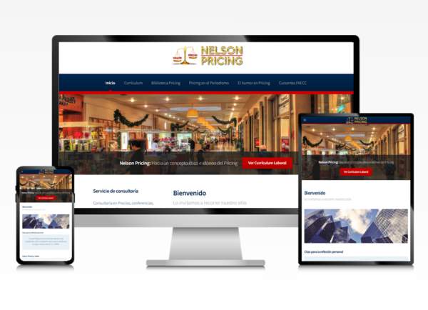 sitio web para Nelson Pricing, vista del sitio en formato escritorio